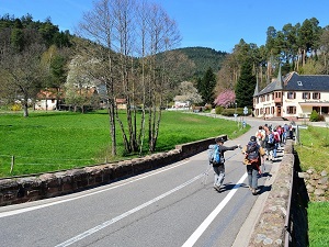 GR®532 From Lutzelbourg (Moselle) to Liepvre (Haut-Rhin) 5