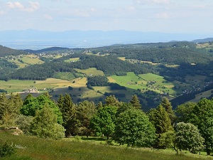 GR532 From Liepvre (Haut-Rhin) to Etueffont (Territoire de Belfort) 3