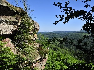 GR®533 De Sarrebourg (Moselle) au Pont de la Loge (Vosges) 5