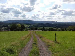 GR®533 From Sarrebourg (Moselle) to Pont de la Loge (Vosges) 6