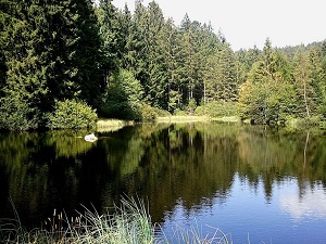 GR®533 Du Pont de la Loge (Vosges) à Belfort (Territoire de Belfort) 4