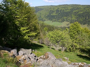 GR®533 From Pont de la Loge (Vosges) to Belfort (Territoire de Belfort) 6