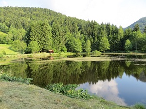 GR®533 From Pont de la Loge (Vosges) to Belfort (Territoire de Belfort) 7