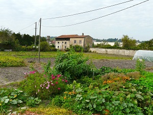 GR534 Sentier Stanislas-Kléber (Meurthe-et-Moselle, Bas-Rhin) 4