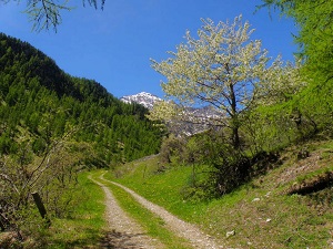 GR58 Hiking on the Tour of Queyras (Hautes-Alpes) 4
