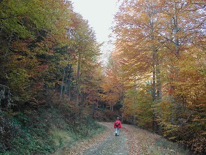 GR59 Hiking from le Ballon d'Alsace (Vosges) to Silley-Blefond (Doubs) 4