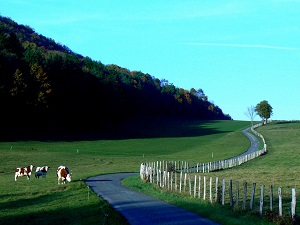 GR59 Randonnée de Mesnay (Jura) à Val-Revermont (Isère) 7