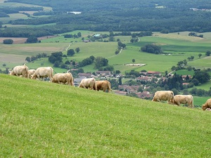 GR59 Randonnée de Val-Revermont (Ain) à Yenne (Savoie) 3