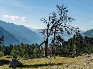 GR®5B Hiking from the Pastoral Hut of Thures to the Oratory of Saint Roch (Hautes-Alpes) 4
