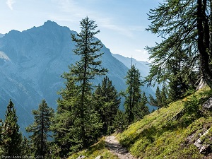 GR®5B Hiking from the Pastoral Hut of Thures to the Oratory of Saint Roch (Hautes-Alpes) 5