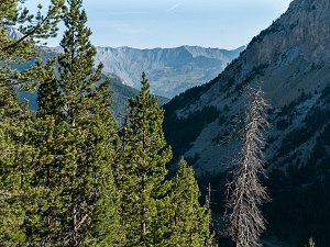 GR®5B Randonnée de la Cabane Pastorale des Thures à l'Oratoire Saint Roch (Hautes-Alpes) 6