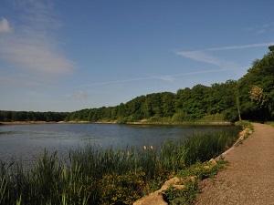 GR5 Hiking from Dieuze (Moselle) to Andlau (Bas-Rhin) 3