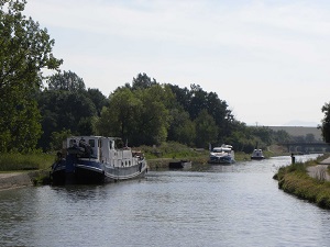 GR5 Hiking from Dieuze (Moselle) to Andlau (Bas-Rhin) 4