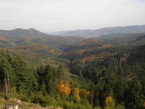 GR5 Randonnée de Dieuze (Moselle) à Andlau (Bas-Rhin) 6