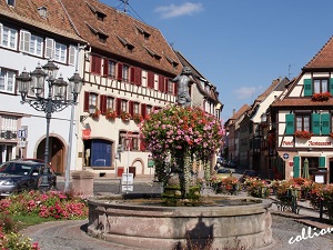 GR5 Randonnée de Dieuze (Moselle) à Andlau (Bas-Rhin) 7