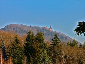 GR5 Hiking from Andlau (Bas-Rhin) to Thann (Haut-Rhin) 5