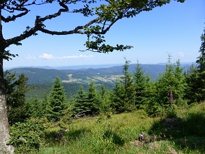 GR5 Randonnée de Andlau (Bas-Rhin) à Thann (Haut-Rhin) 6