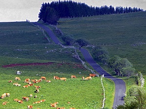 GR6 Randonnée de la Gironde aux Alpes-de-Haute-Provence 5