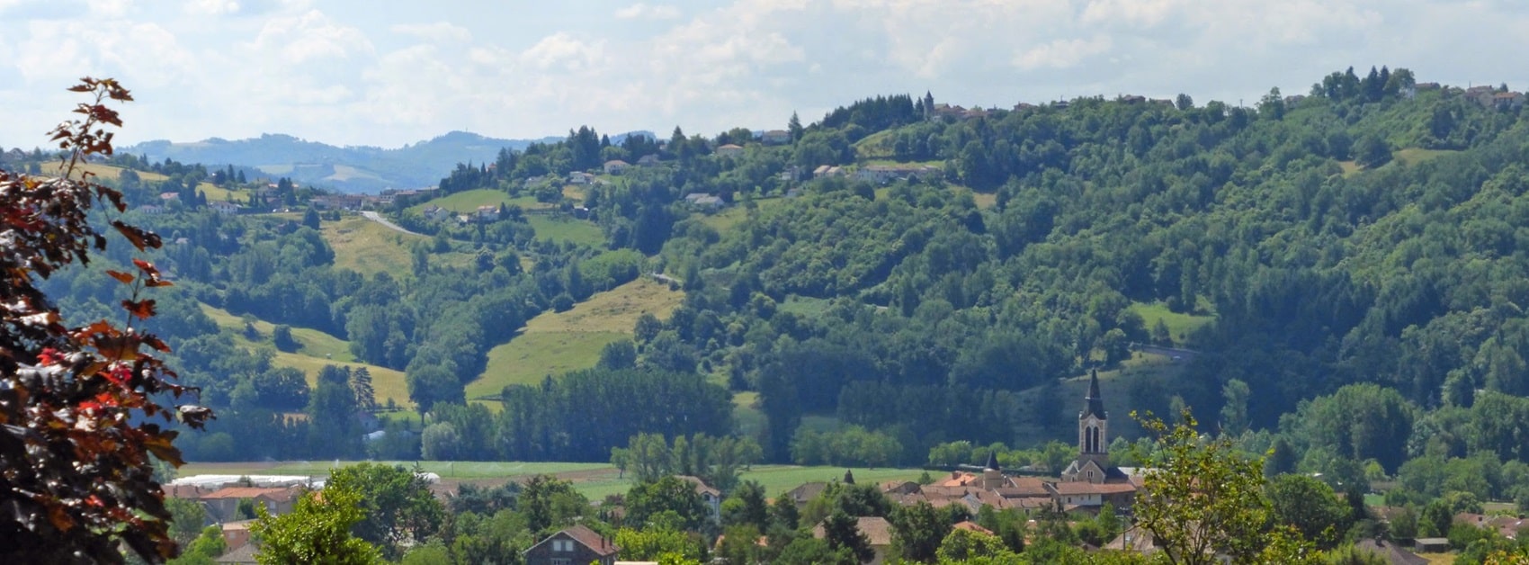 GR®6 De la Gironde aux Alpes-de-Haute-Provence