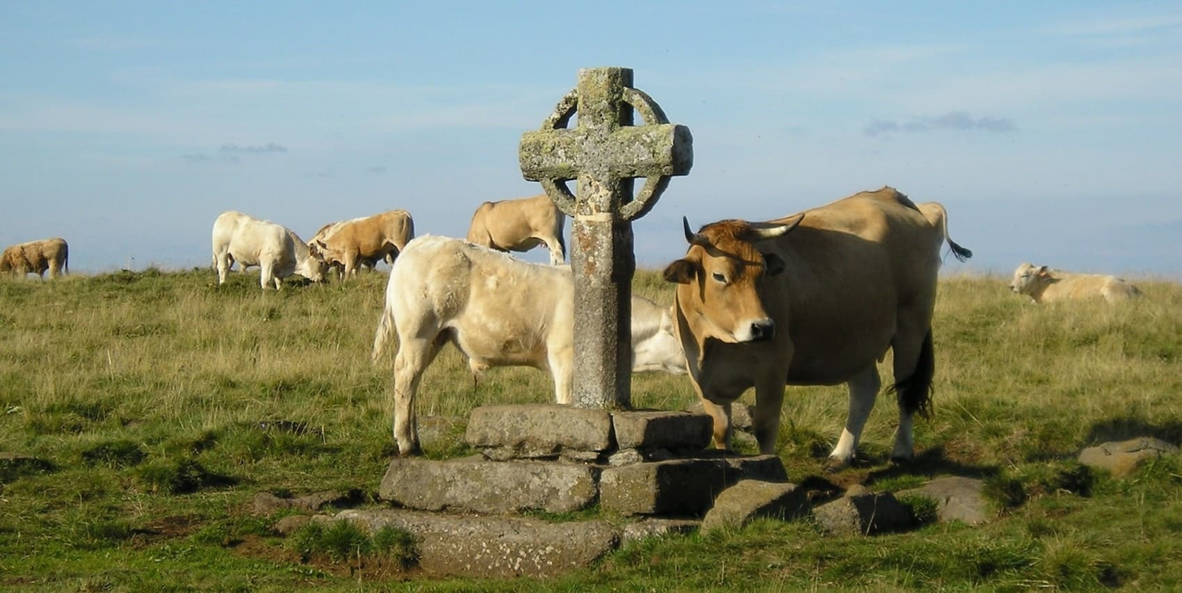 GR®60 Du signal de Mailhebiau (Lozère-Aveyron) à St Mathieu-de-Tréviers (Hérault)