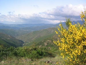 GR61 Hiking from Anduze to Asclier Pass (Gard-Cevennes) 7