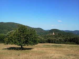 GR63 Hiking from Avignon to Cabane-Vieille Pass (Gard) 6