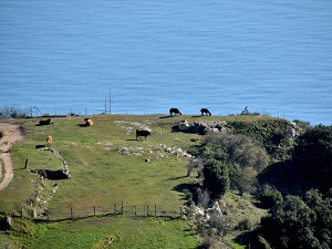 GR653A Randonnée de Menton à Mandelieu-la-Napoule (Alpes-Maritimes) 5