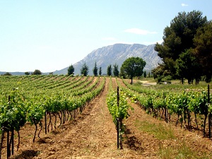 GR653A Hiking from Le Val (Var) to Eguilles (Bouches-du-Rhone) 6