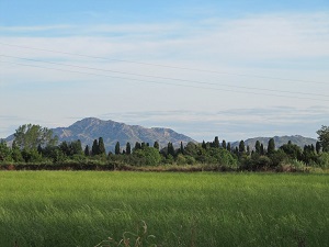 GR653A Randonnée de Eguilles à Arles (Bouches-du-Rhône) 6