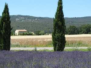 GR653D Hiking from Cereste (Alpes-de-Haute-Provence) to Arles (Bouches-du-Rhone) 5