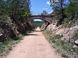 GR653 Walking from Arles (Bouches-du-Rhone) to Montarnaud (Herault) 6