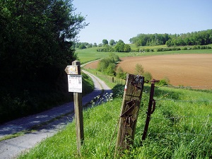 GR654 Via Lemovicensis - Pèlerinage de Saint-Jacques-de-Compostelle 3