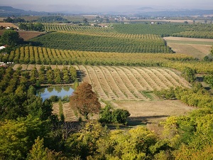 GR®654 EST Randonnée de Bergerac (Dordogne) à Laparade (Lot-et-Garonne) 6