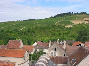 GR654 Walking from Bar-sur-Seine (Aube) to Irancy (Yonne) 7