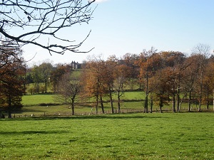 GR654 Walking from Virareix to Champsac (Haute-Vienne) 6