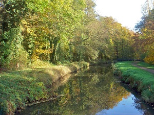 GR655 Walking from Montmorency (Val-d'Oise) to Saint-Hilarion (Yvelines) 6