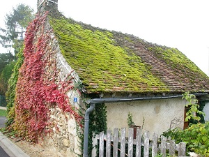 GR655 Hiking from Ste-Maure-de-Touraine (Indre-et-Loire) to Lusignan (Vienne) 3