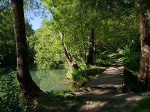 GR655 Hiking from Ste-Maure-de-Touraine (Indre-et-Loire) to Lusignan (Vienne) 5