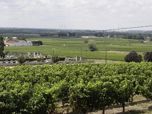 GR655 Walking from  Blaye to Belin-Beliet (Gironde) 4