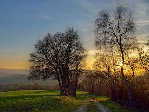 GR65 Hiking from Geneva (Switzerland) to St Genix-sur-Guiers (Savoie) 2