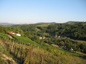 GR65 Via Gebennensis Randonnée de Genève (Suisse) à St Genix-sur-Guiers (Savoie) 5
