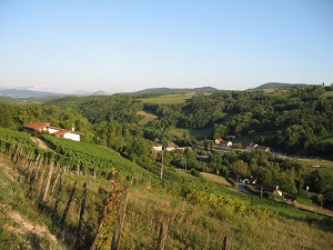 GR65 Via Gebennensis Randonnée de Genève (Suisse) à St Genix-sur-Guiers (Savoie) 5