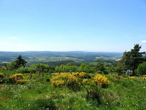 GR65 Hiking from Le Puy-en-Velay (Haute-Loire) to Nasbinals (Lozere) 5