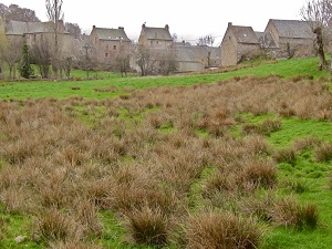 GR65 Hiking from Le Puy-en-Velay (Haute-Loire) to Nasbinals (Lozere) 7