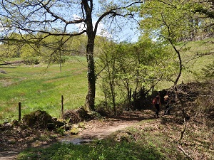 GR65 Hiking from Nasbinals (Lozere) to Montredon (Lot) 6