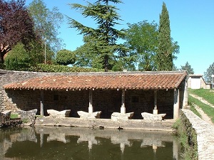 GR65 Randonnée de Montredon à Labastide-Marnhac (Lot) 5