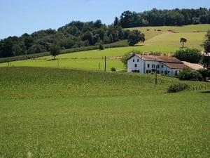 GR65 Hiking from Aire-sur-l'Adour (Landes) to Larribar-Sorhapuru (Pyrenees-Atlantiques) 7