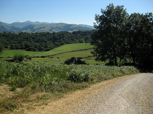 GR65 Randonnée de Larribar-Sorhapuru (Pyrénées-Atlantiques) à Roncesvalles (Espagne) 3