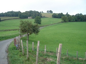 GR65 Hiking from Larribar-Sorhapuru (Pyrenees-Atlantiques) to Roncesvalles (Spain) 4