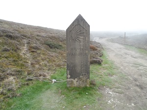 GR65 Hiking from Larribar-Sorhapuru (Pyrenees-Atlantiques) to Roncesvalles (Spain) 5